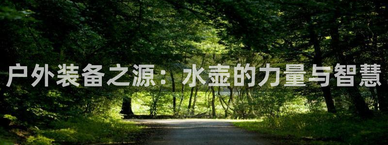 利记国际线址官网