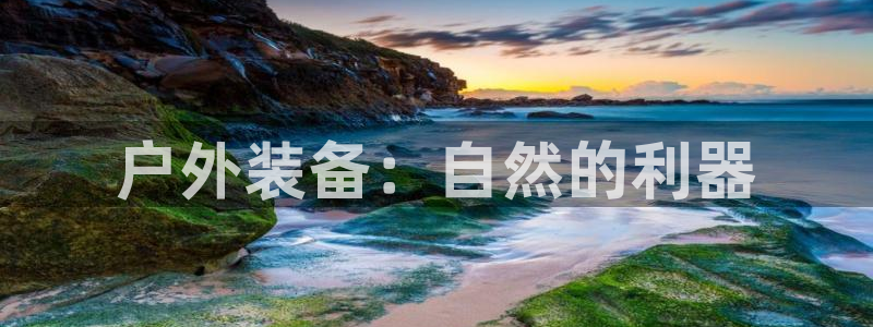 利记官网平台入口