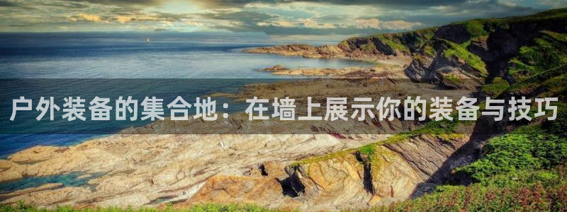 利记官网是真的吗