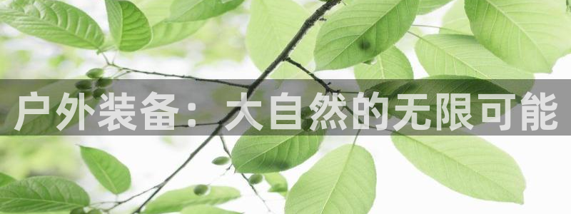 利记彩票网网址官网hd71