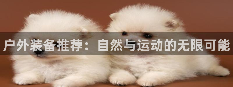 澳博官网app利记网址