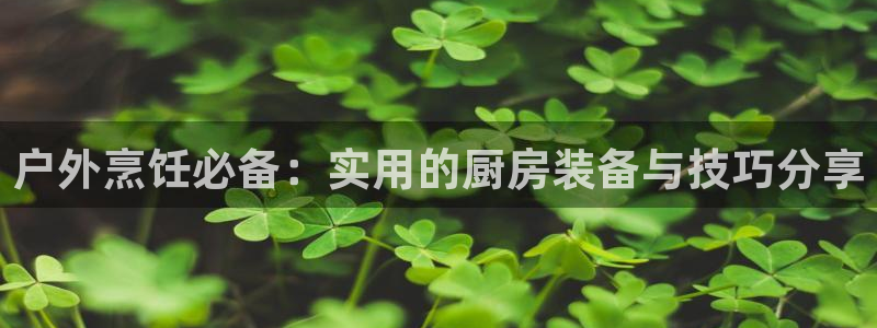 利记网址注册官网