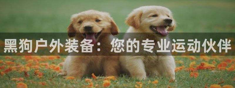 利记国际有限公司官网