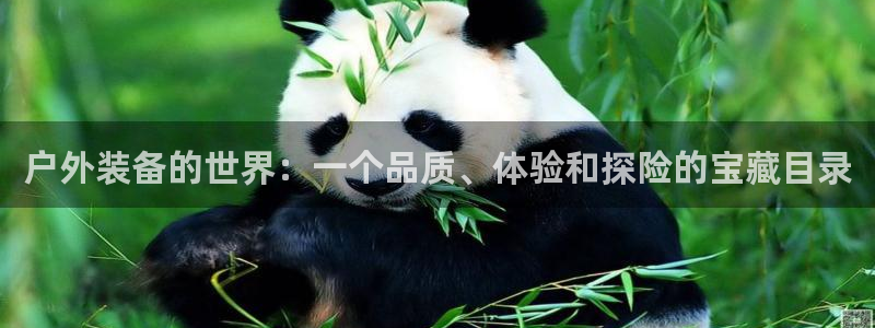 利记官网是多少