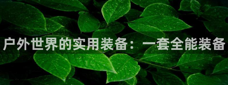 利记彩票官网wx678 com