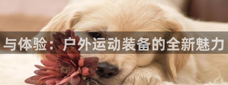 利记官网是真的吗