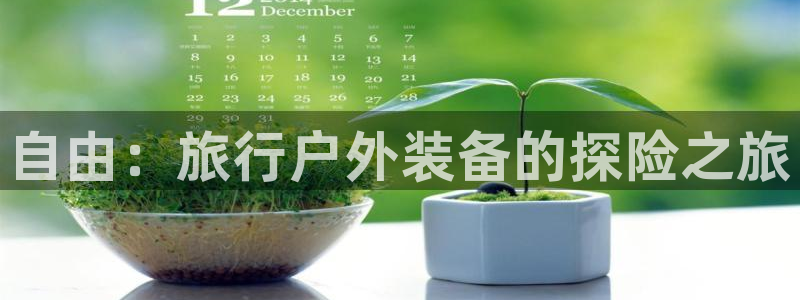 利记彩票平台官网