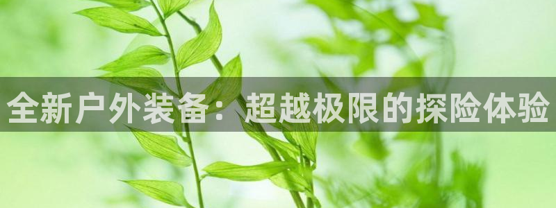 利记手机官网电子mg官方网站
