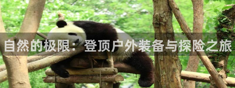 利记官网在线投注