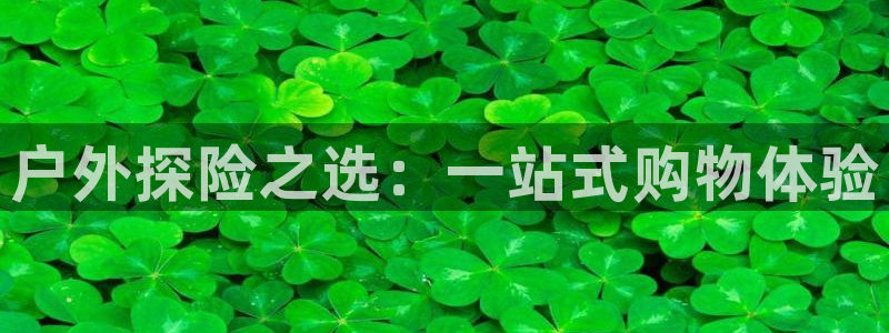 利记官网登录入口