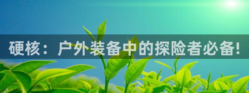 利记娱乐网官网