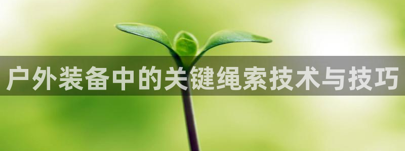 利记体育平台官网