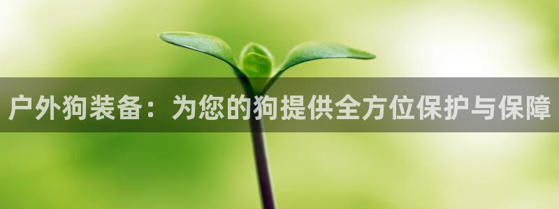 利记手机官网银河网