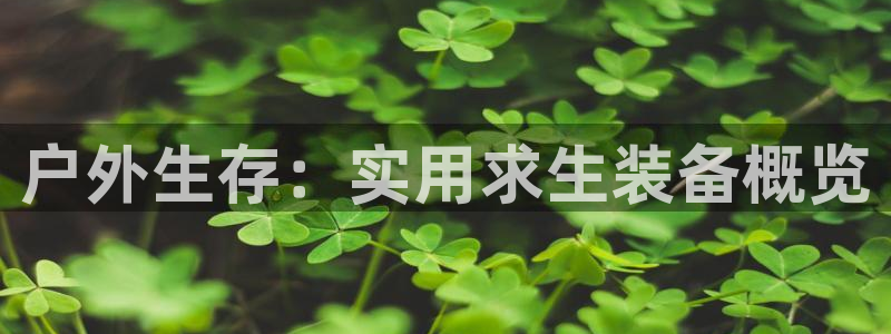 利记app官方官网登录