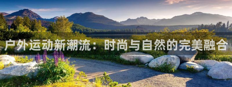 利记手机官网电子mg官方网站