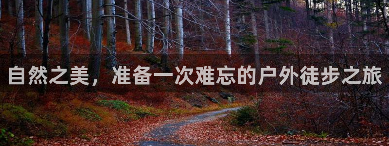 利记网官网网址