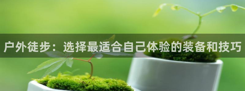 利记体育官网首页