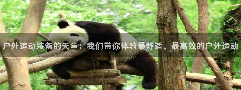 利记官网是什么