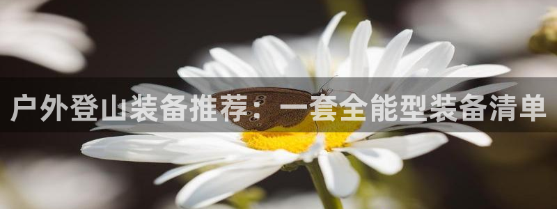 利记官网登录入口