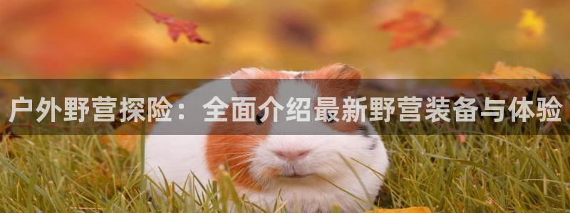 利记官网app下载网址日博官网网址