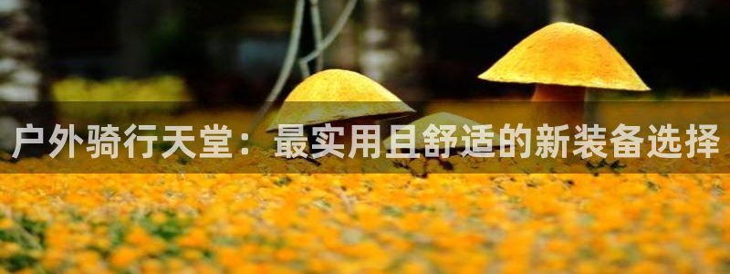 铂利记旗舰店官网电话