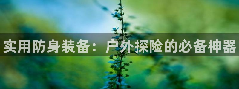 利记网址注册官网