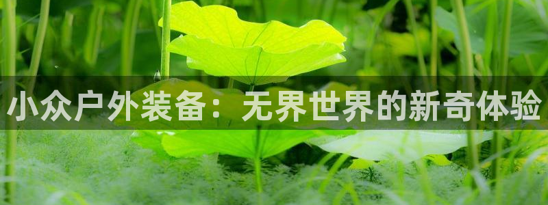 利记科技有限公司官网