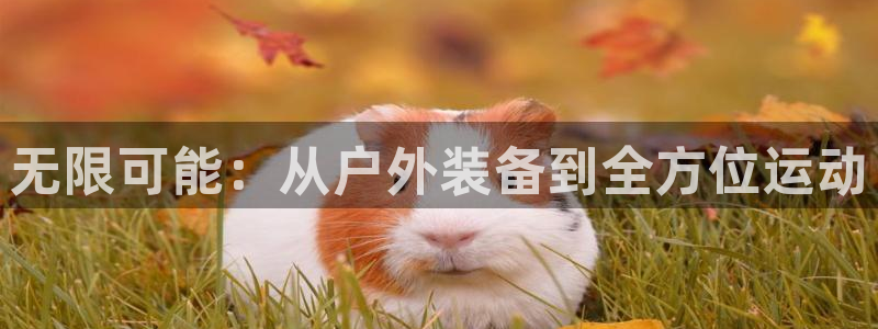 利记国际线址官网