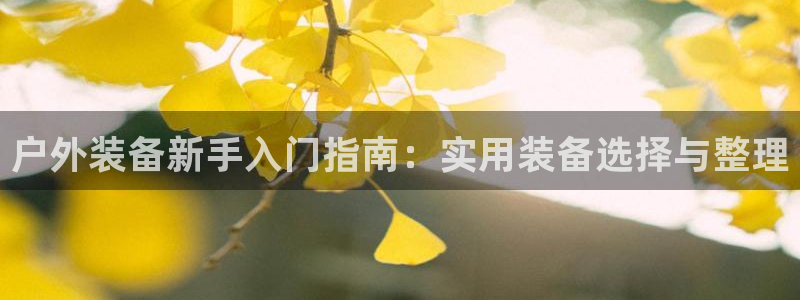 利记彩票官网wx678 com