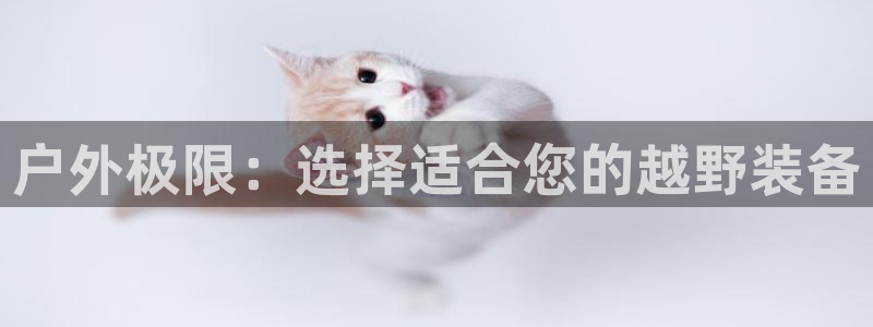 sbo利记体育官网