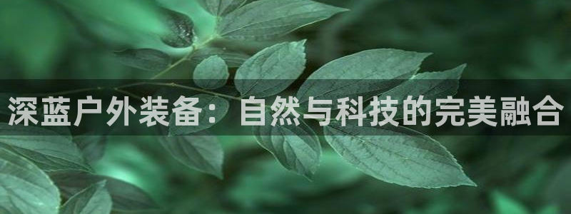 利记app官网