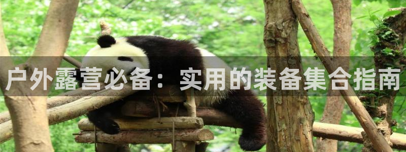 利记体育官网地址