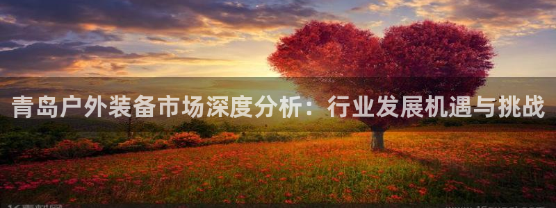 利记亚洲官网