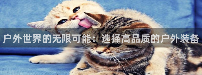 sbo利记体育官网注册