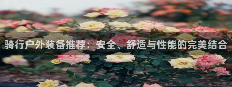 利记体育app官网