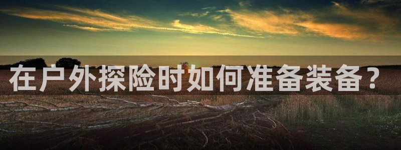 利记sbobet官网
