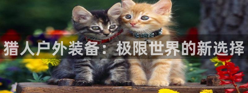 sbo利记体育官网注册