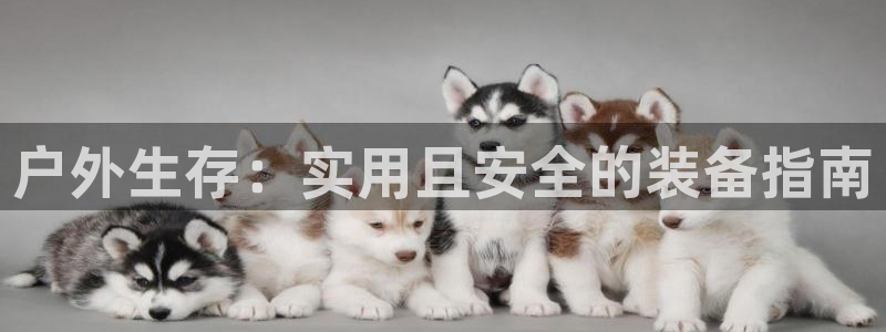 利记手机官网入口