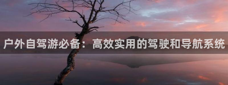 利记科技有限公司官网