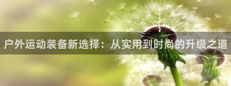 利记官网行业领导者