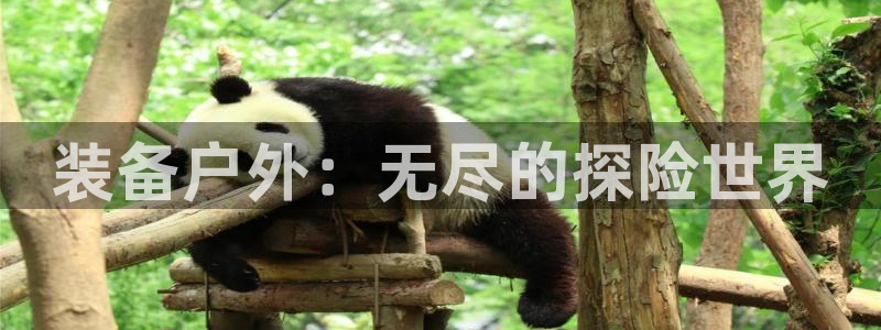 香港利记lee kee集团官网