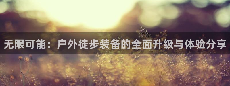 利记二手车行官网