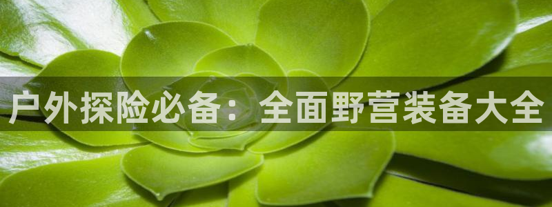 利记彩票网网址官网hd71