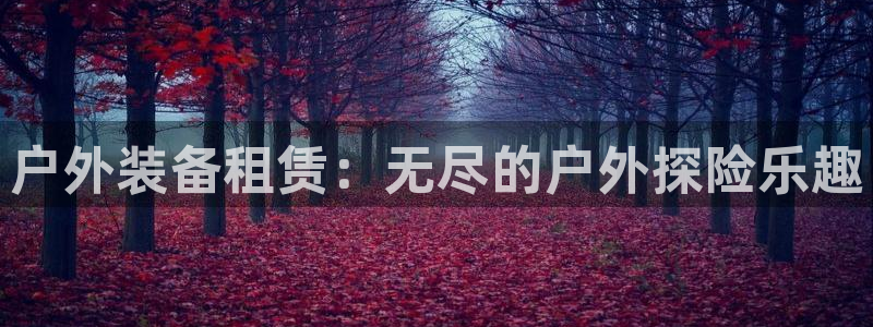 香港利记集团官网地址