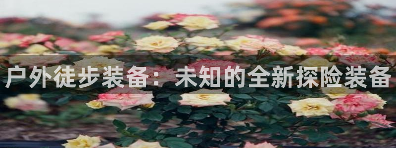 利记彩票官网hd71