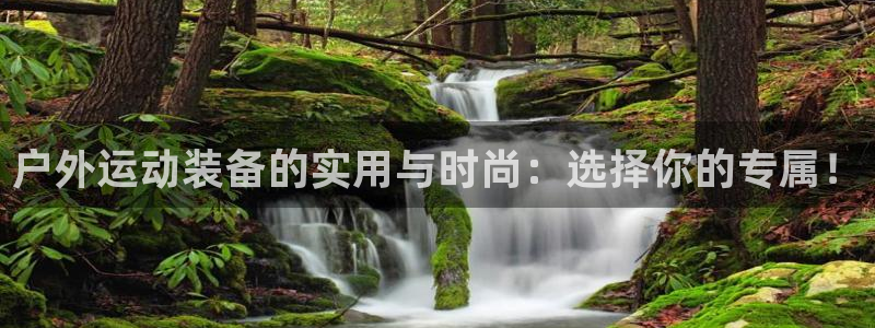 利记app官网真人游戏