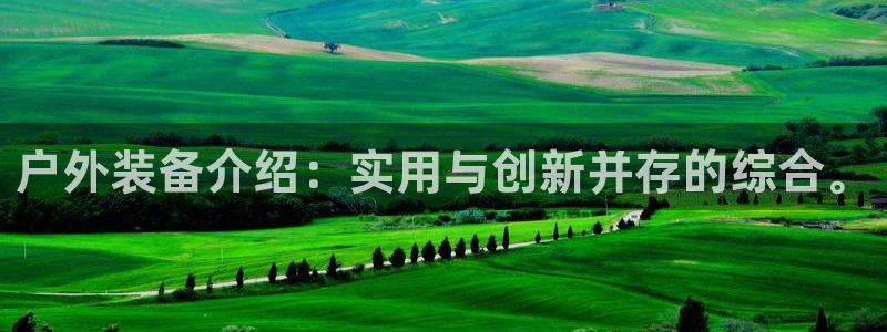 利记官网电脑版