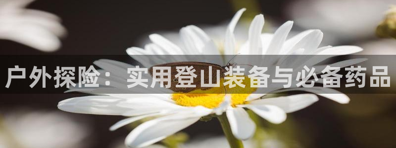 利记官网入口最新版