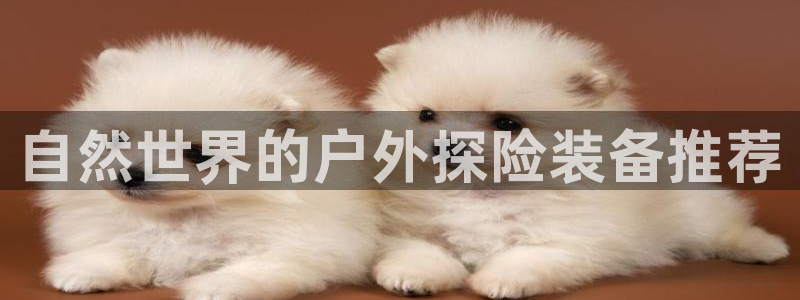 利记广告联盟官网