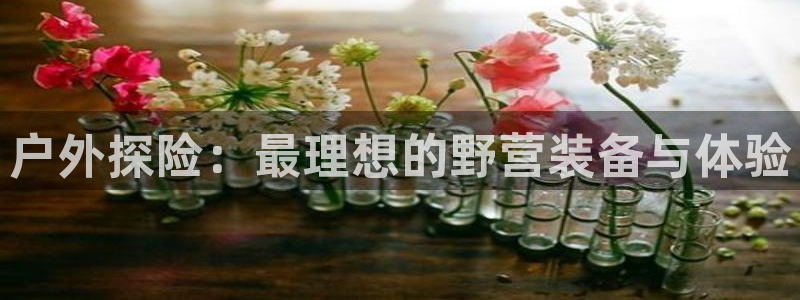利记官网是什么